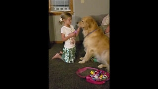 Little girl plays animal doctor with her Golden Retriever