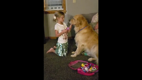Little girl plays animal doctor with her Golden Retriever