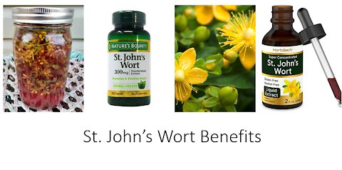 St Johns Wort - Hypericum perforatum Benefits