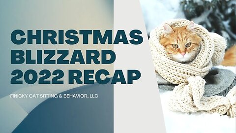 From cold cats to frozen pipes...what worked and what to prep for!