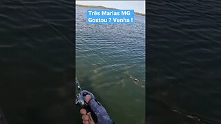 Pesca tucunaré Três Marias MG #tresmarias #pescaesportiva