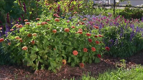 Melinda Myers Garden Moment - Low Maintenance Cut Flower Garden
