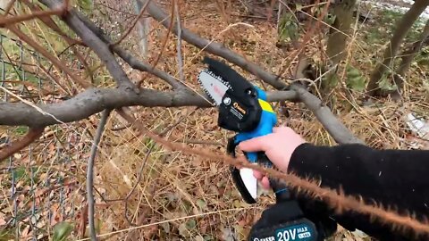 Does Size Really Matter? (Saker Electric Chainsaw)