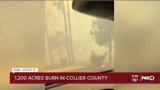 Hundreds of acres burn in Collier County