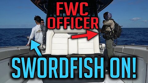 Catching Swordfish WHILE being boarded by FWC! Catch Clean Cook