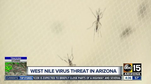 How to lower the West Nile threat in Arizona