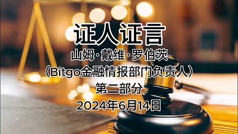 #证人证言 2024年6月14日 郭先生庭审 检方第18位证人-山姆·戴维·罗伯茨（Bitgo金融情报部门负责人）第二部分（AI中文朗读 字幕仅供参考）