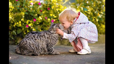 Baby Loves Cats short video 2021 ##