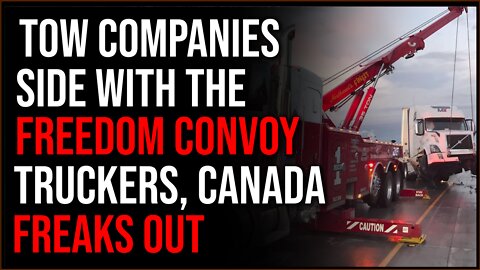 Towing Companies Side With Freedom Convoy, Canada FREAKS OUT