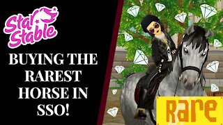 Buying The RAREST Horse In SSO?! 🤑 Star Stable Quinn Ponylord