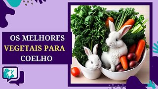 Os 7 Melhores Vegetais para Alimentação do Seu Coelho de Estimação