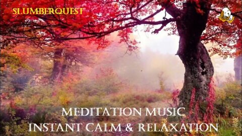 AUTUMN LEAVES: Relaxing Music For Meditation, Ambience, Study & More.