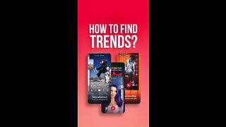 One Site for You to Find All Your TikTok Trends