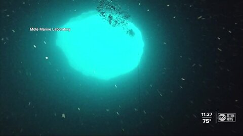 Underwater sinkholes: Scientists to explore 'blue holes' in Gulf of Mexico