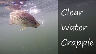 Fishing CLEAR water for Crappie (Summer Crappie Fishing 2019)