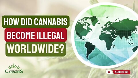 How Did Cannabis Become Illegal Worldwide? (Single Convention on Narcotics Treaty 1961)