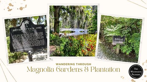 Exploring Magnolia Gardens & Plantation