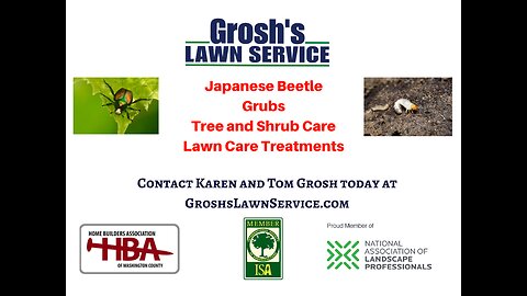 Japanese Beetles Hagerstown Maryland Tree and Shrub Care