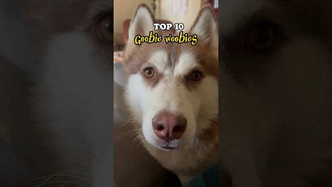 Top 10 Goobie Woobies