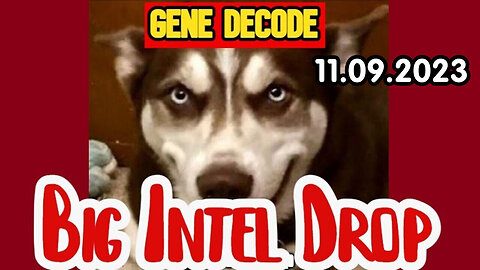 Gene Decode DUMBS Intel 11/10/23..