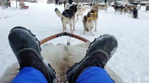 Carl Byington Dog Sledding in Norway