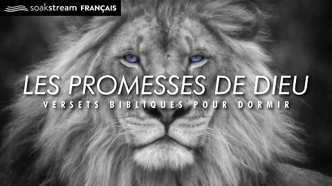Les Promesses De Dieu | Versets Bibliques Pour Dormir