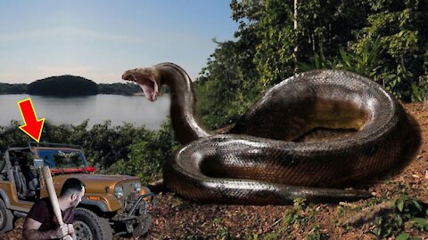 7 Real Titanoboa Snake Sightings ever Found