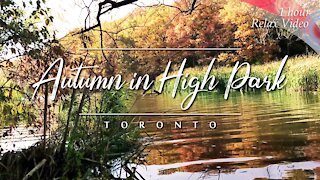 Autumn in High Park, Toronto (an hour of Relaxing, Calming, Studying or Sleeping Video)