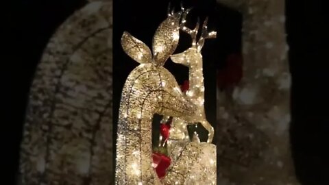 Sam's club Christmas deer outdoor lighting decorations #christmas