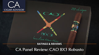 CAO BX3 Review Panel