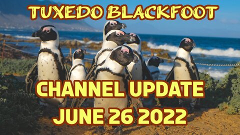 Channel Update - June 26 2022