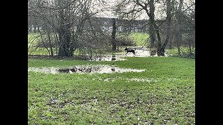 Flooded Lake