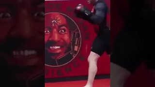 Joe Rogan Training Striking!