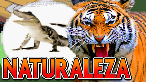 Pokemon Nature (Naturaleza) - New GBA Pokemon ROM but you capture animals, dinosaurs with new area