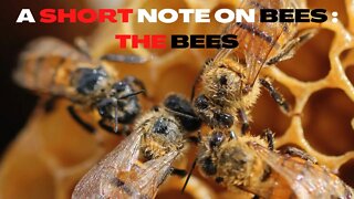A SHORT NOTE ON BEES: THE BEES