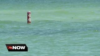 Red Tide advisory impacting Tampa Bay area beaches