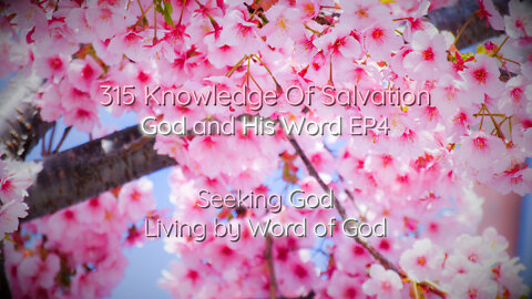 315 Knowledge Of Salvation - God and His Word EP4 - Seeking God, Living by Word of God