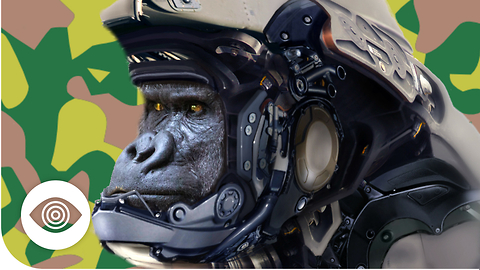 Do Human-Ape Super Soldiers Exist?