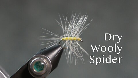 Dry Wooly Spider (Ed Story)