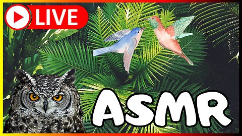 🔴 Live ASMR🌿🌱 Welcome to our Exclusive Live Event on Rumble! 🌱🌿#ASMR #nature #Plants