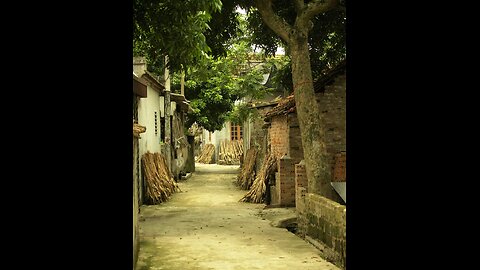 Village | Nature | Assam |