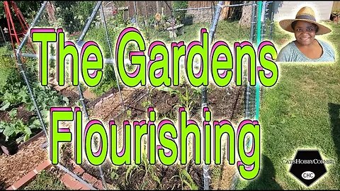 #gardentour Flourishing - #catshobbycorner