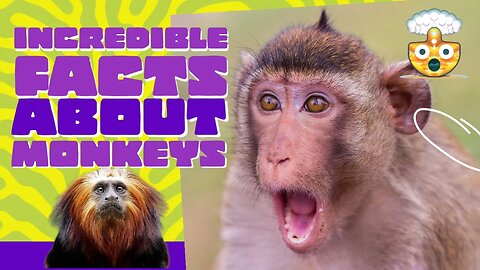 Discover the Top 10 Incredible Monkey Facts You Never Knew | A Must-Watch Video!