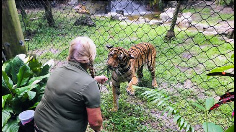 Palm Beach Zoo: 1,000 animals 'storm recall' trained