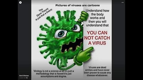 Viruses do Not exist Only Poison Toxins or Venom can kill you! Be Organic!
