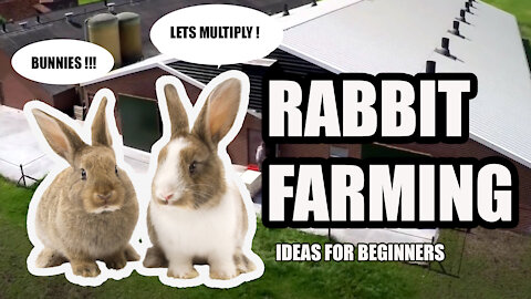 Rabbit Farming Business Start-Up Ideas