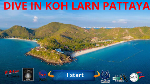 Relaxed diving at koh larn in pattaya