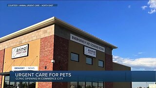 Pet urgent care opening in Commerce City