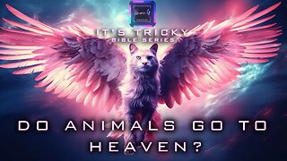 Its Tricky Bible Series | Do Our Animals Go To Heaven?