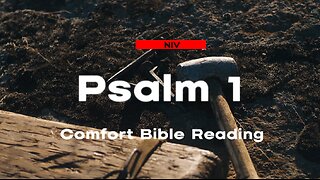 Psalm Chapter 1: Reading the Book of Psalm ( NIV )